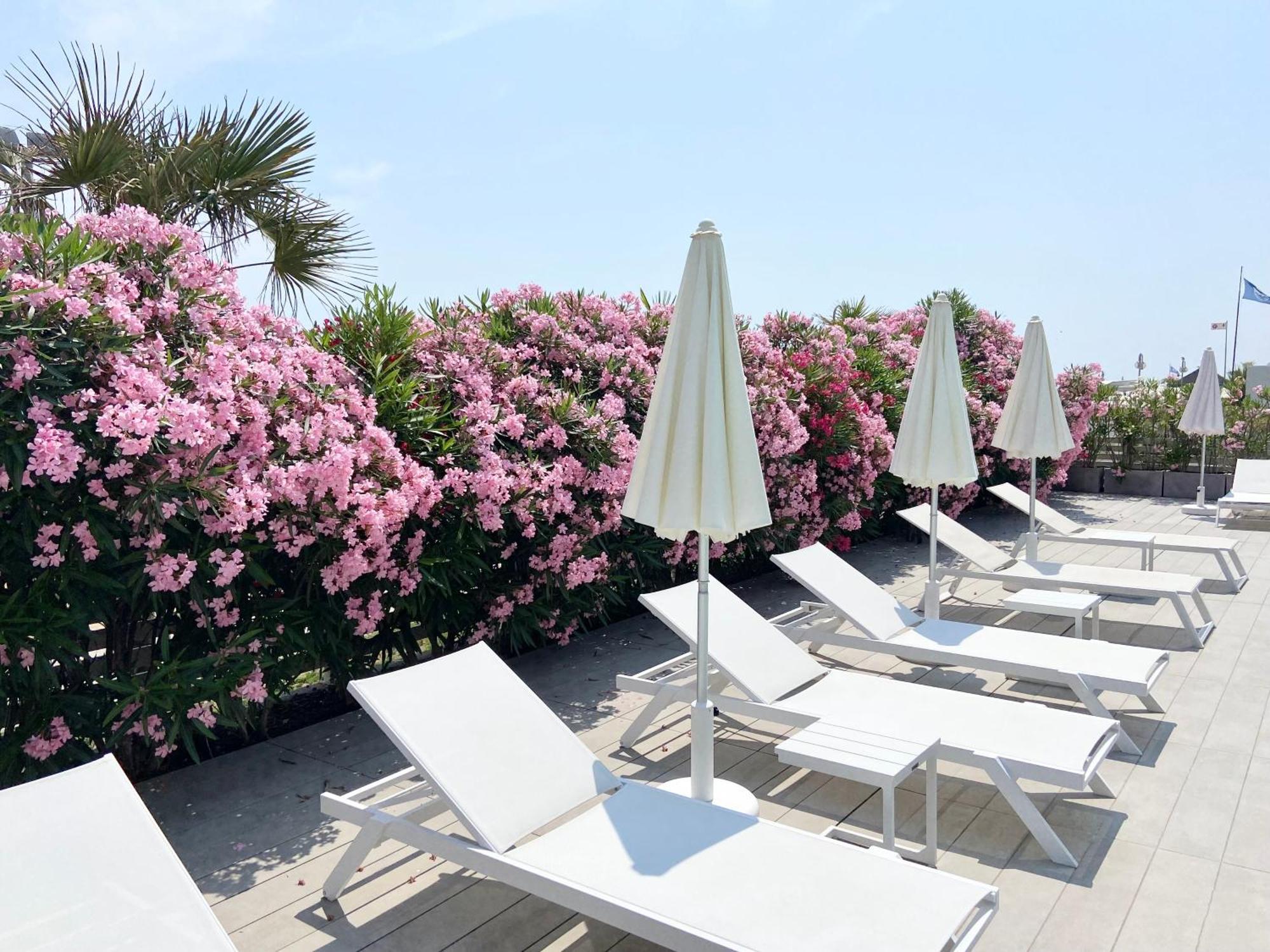 Appartamento Tahiti Frontemare - - Solo Famiglie Lido di Jesolo